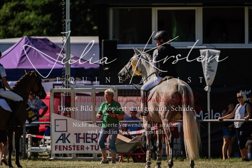 DSC_2576 | Pferde- und Turnierfotografie in Westsachsen. Pferdeportraits, Auftragszeichnungen und intuitive Kunst.
