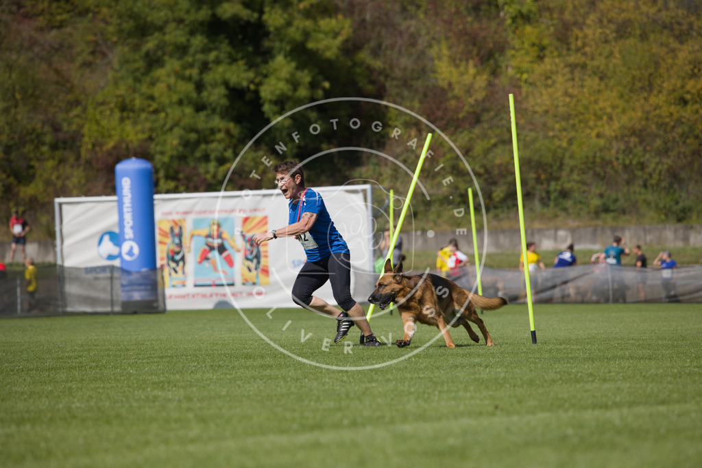 0L8A2720 | Hundefotografie, Tierfotograf, Pfotenfotografie, Fotoshooting Hund, Hunde Portrait, Hundesport, Hundeportraits, Heideshooting, Hunde, Sportfotograf, Hundefotograf, Turnierhundsport, THS,  - Realisiert mit Pictrs.com