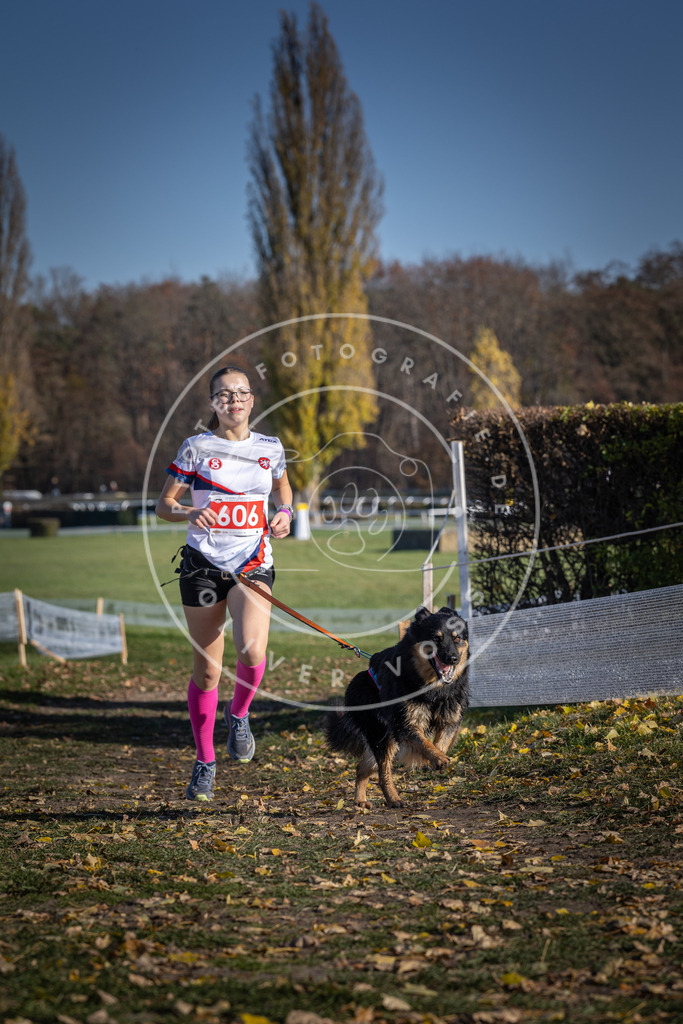 CaniXpix_DV3A9640 | Hundefotografie, Tierfotograf, Pfotenfotografie, Fotoshooting Hund, Hunde Portrait, Hundesport, Hundeportraits, Heideshooting, Hunde, Sportfotograf, Hundefotograf, Turnierhundsport, THS,  - Realisiert mit Pictrs.com