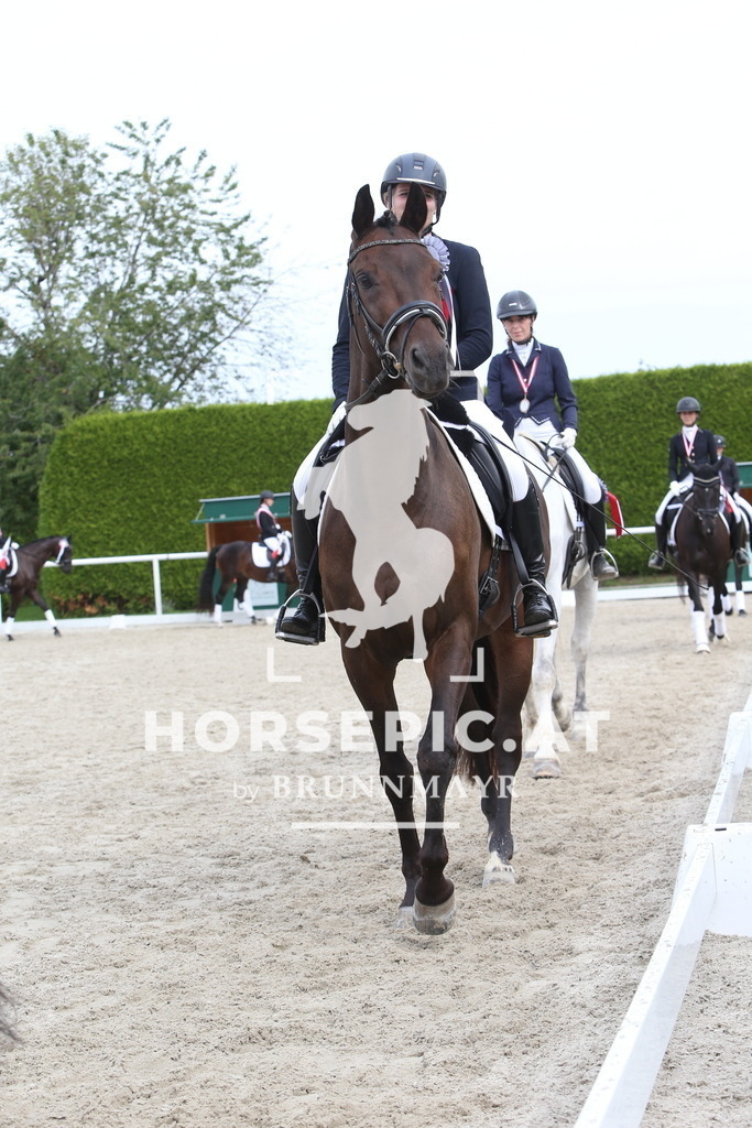 DL2Q4408 | Willkommen bei Brunnmayr - Design & Fotografie – Ihrem Spezialisten für Reitturniere und Pferdeveranstaltungen in Oberösterreich, Salzburg und Bayern! Seit über 17 Jahren sind wir leidenschaftlich dabei.