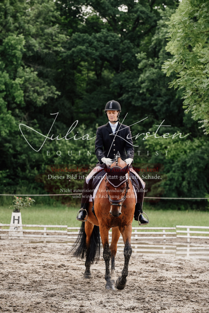 DSC_9734 | Pferde- und Turnierfotografie in Westsachsen. Pferdeportraits, Auftragszeichnungen und intuitive Kunst.