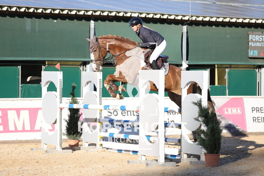 0P6A1959 | Willkommen bei Brunnmayr - Design & Fotografie – Ihrem Spezialisten für Reitturniere und Pferdeveranstaltungen in Oberösterreich, Salzburg und Bayern! Seit über 17 Jahren sind wir leidenschaftlich dabei.