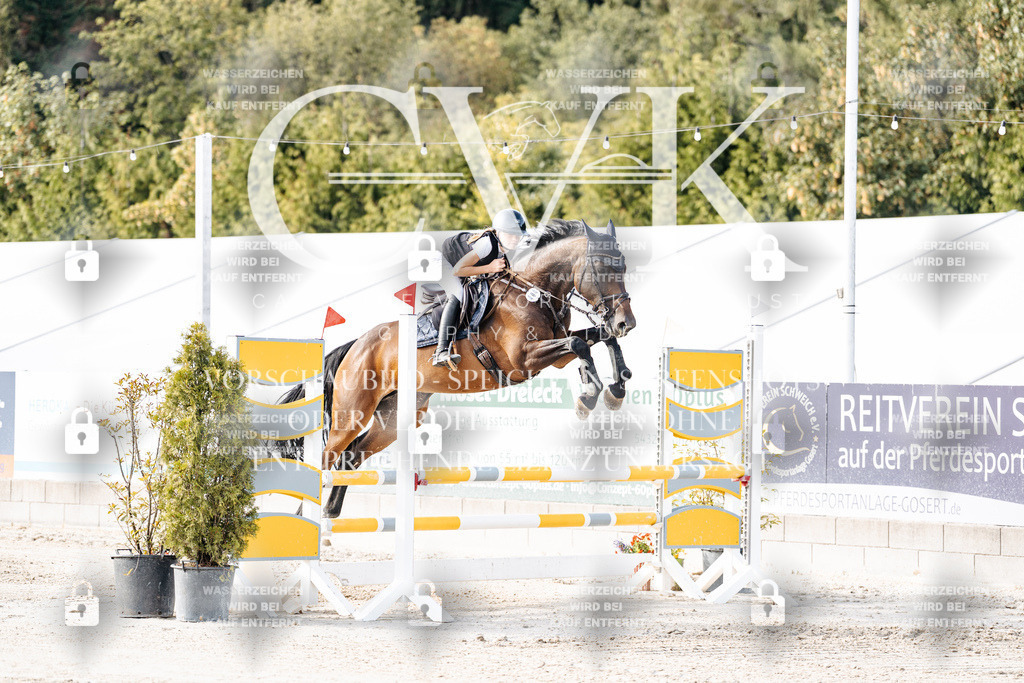 CK906183 | Turnierfotografie Pferdefotografie Trier Rheinland-Pfalz Pferdesport Reitsport Tierfotografie Sportfotografie Pferdevideo Pferdevideografie Equestrianvideography equestrianphotography  - Realisiert mit Pictrs.com
