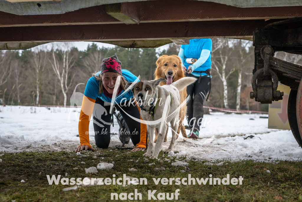 0946_ZZ91457 | kk-dogfotos