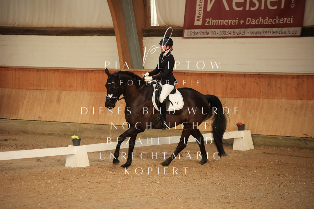 IMGT3629 | pl-fotografie