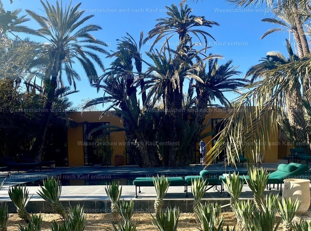 IMG_4011 | heikomoeller - Realisiert mit Pictrs.com