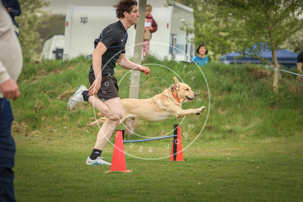Pfotenfotografie_0L8A0871 | Hundefotografie, Tierfotograf, Pfotenfotografie, Fotoshooting Hund, Hunde Portrait, Hundesport, Hundeportraits, Heideshooting, Hunde, Sportfotograf, Hundefotograf, Turnierhundsport, THS,  - Realisiert mit Pictrs.com