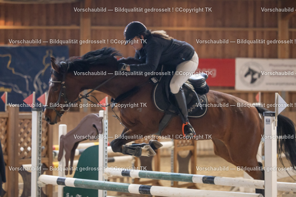 _D5A9356 | Emotionale Pferde- & People-Fotografie rund um Heidelberg, Leimen & Umgebung. Natürliche Fotos von Pferd, Mensch & Familie. Jetzt Termin sichern!