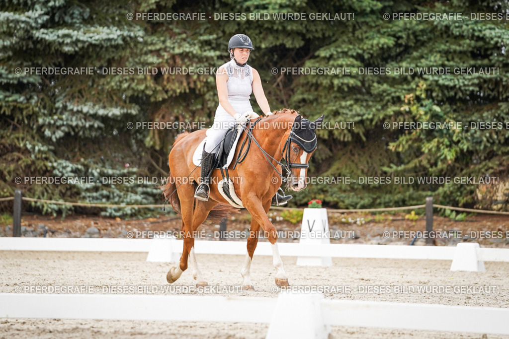 DSC08602 | Pferdegrafie