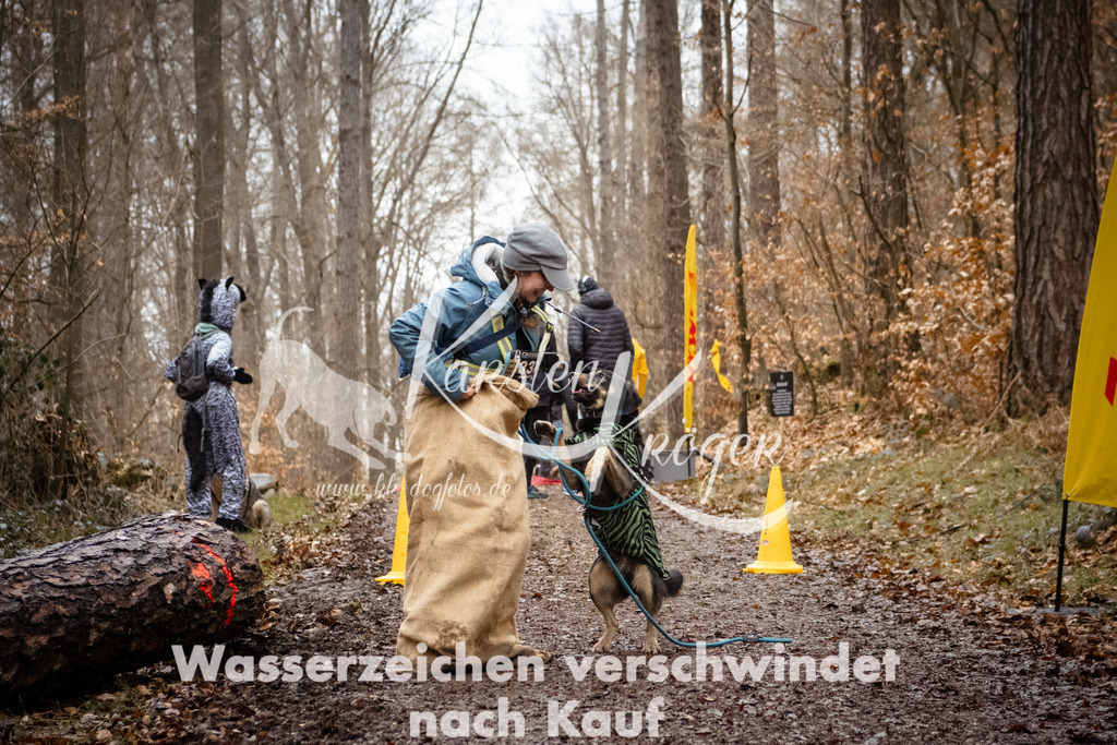 1206_ZZ93983 | kk-dogfotos