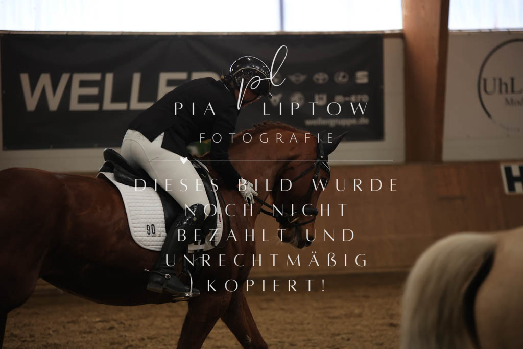 IMGT0148 | pl-fotografie