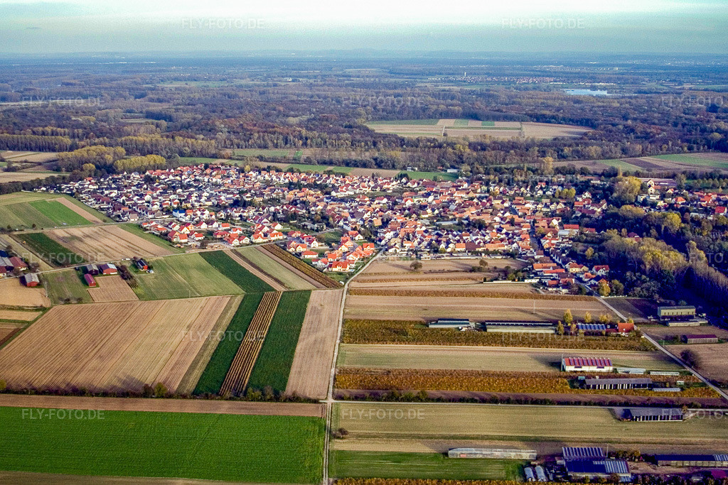 Luftbild: Dorf von Westen in Hördt im Bundesland Rheinland-Pfalz in Deutschland. Foto: IMG_4567.jpg vom 10.11.2006 durch Werner Riehm/FLY-FOTO.de