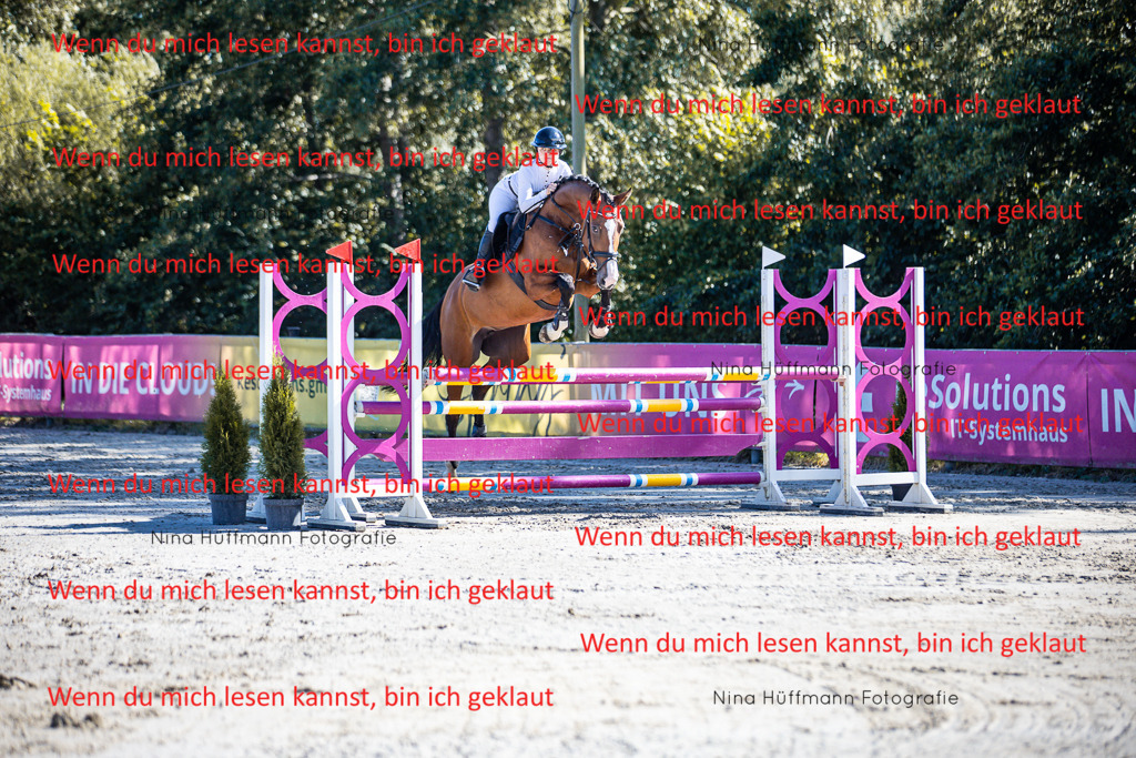BK1A5721 | Turnierbilder Turnierfotos Nina Hüffmann Turnierfotografie Pferdefotografie Tierzeichnung Haustierzeichnung Pferdezeichnung Hundezeichnung Videograf  - Realisiert mit Pictrs.com