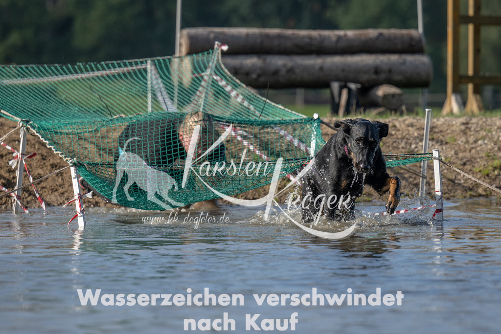 1114_ZZ91982 | kk-dogfotos