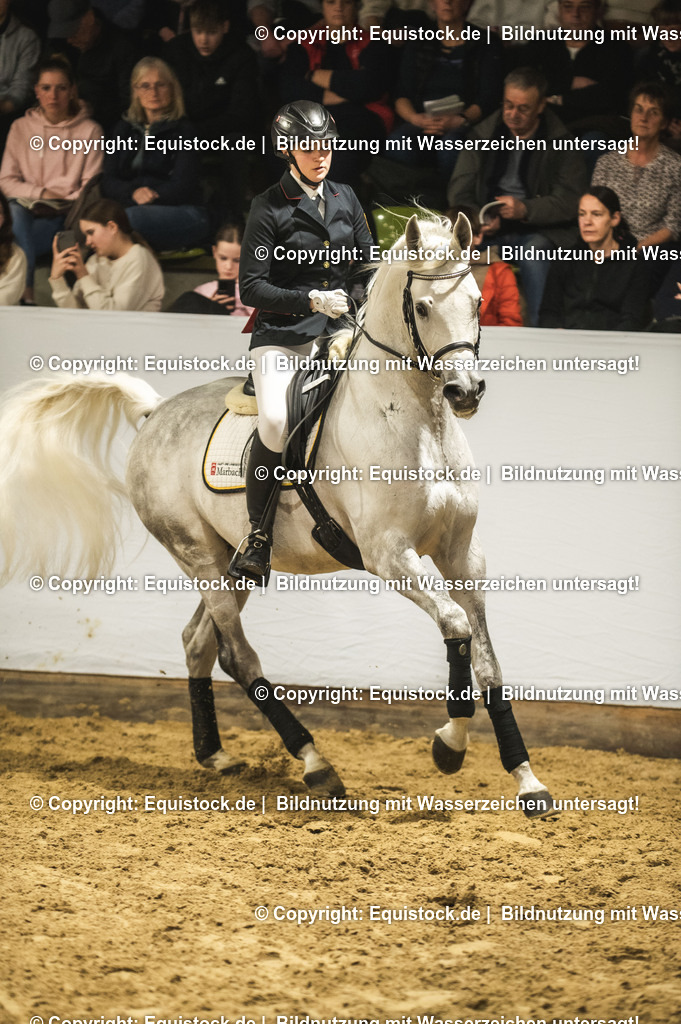 20240302_Hengstvorstellung_Marbach_TOMsPiC_1014 | equistock