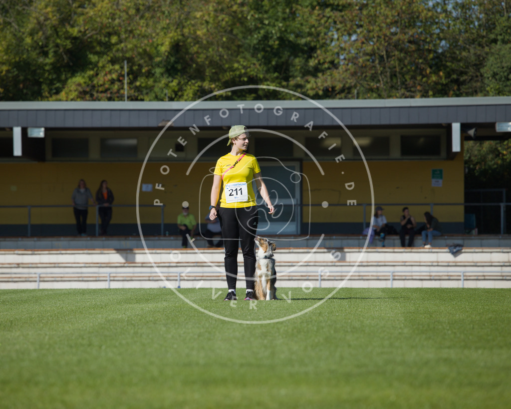 0L8A2418 | Hundefotografie, Tierfotograf, Pfotenfotografie, Fotoshooting Hund, Hunde Portrait, Hundesport, Hundeportraits, Heideshooting, Hunde, Sportfotograf, Hundefotograf, Turnierhundsport, THS,  - Realisiert mit Pictrs.com