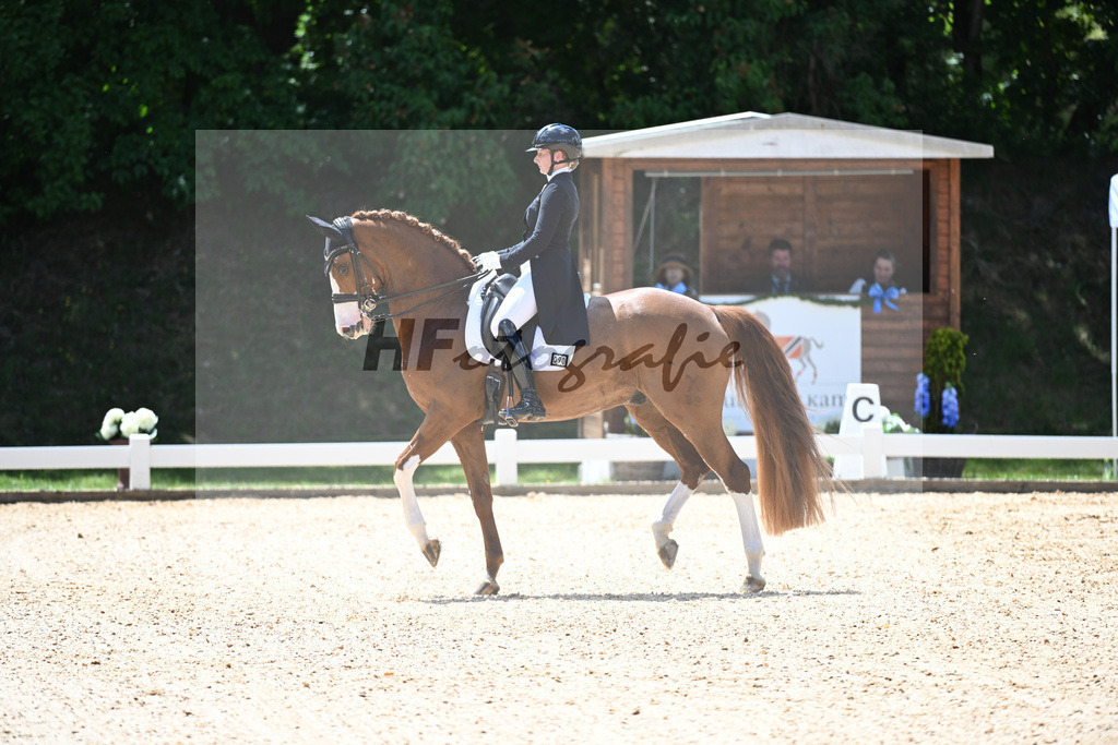 Harsdorf_Daydream d Arion_11252895 | hf-fotografie - Realisiert mit Pictrs.com