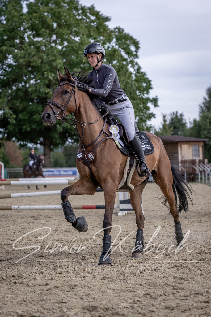 20260906-_3LI6682 | Tierfotografie Pferde, Hunde, Katzen, Haustiere.
Turnierfotografie Reitturniere, Reiten, Springreiten, Dressur in Hanau, dem Main-Kinzig-Kreis und dem Rhein-Main- Gebiet um Frankfurt