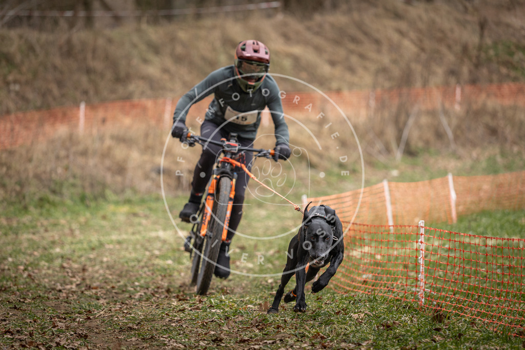 Pfotenfotografie_DV3A6871 | Hundefotografie, Tierfotograf, Pfotenfotografie, Fotoshooting Hund, Hunde Portrait, Hundesport, Hundeportraits, Heideshooting, Hunde, Sportfotograf, Hundefotograf, Turnierhundsport, THS,  - Realisiert mit Pictrs.com