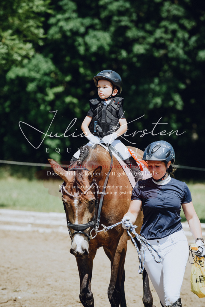 DSC_2725 | Pferde- und Turnierfotografie in Westsachsen. Pferdeportraits, Auftragszeichnungen und intuitive Kunst.