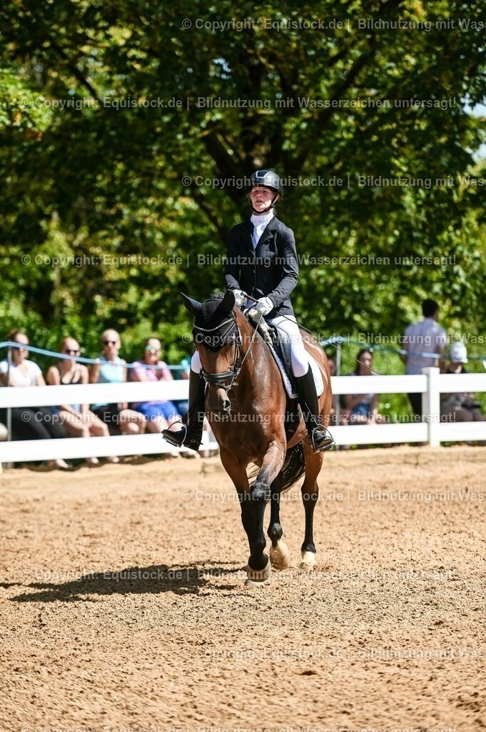 20230715_02_Dressurreiterprüfung Kl.L_0091 | equistock