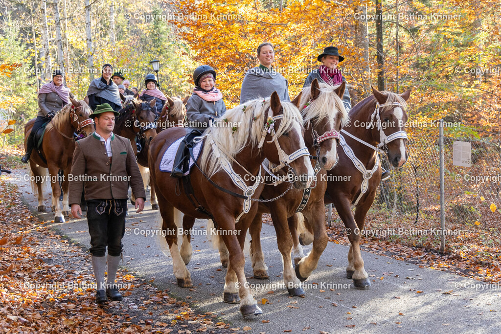 LL24-308 | foto-bettina-krinner - Realisiert mit Pictrs.com