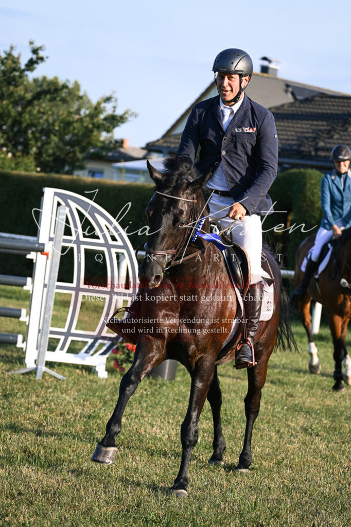 DSC_1942 | Pferde- und Turnierfotografie in Westsachsen. Pferdeportraits, Auftragszeichnungen und intuitive Kunst.