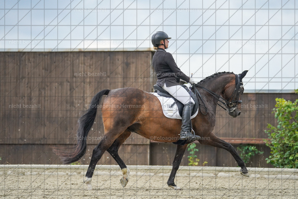 20230826-FAH06279 | Forstinning, 2023, Dressurturnier, Turniersportbilder, Turnierfotografen Bayern, Fotoagentur Herrmann, Reitsportfotografie, Turnierbilder