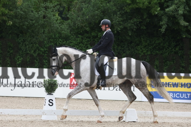 Weilheim_2023_Prfg.Nr.22_4jähr.Stuten u.Wallache_Jörg Henne_Silver Secret (10) | Alle Fotos der Reiterjournal Fotografin Doris Matthaes im Reiterjournal Online-Fotoshop. - Realisiert mit Pictrs.com