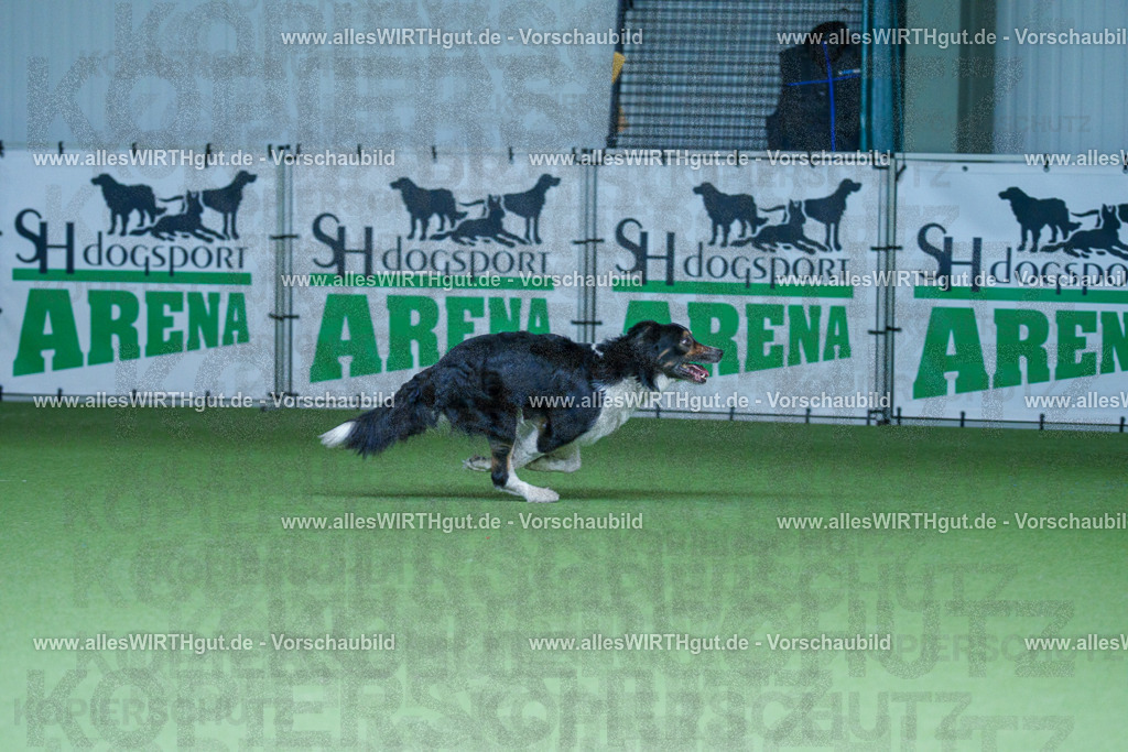 @allesWIRTHgut_Tierfotografie - www.allesWIRTHgut.de - 2604251205-7R500827 | Professionelle Tierfotografie in Mönchengladbach von Daniel Wirth (allesWIRTHgut). Liebevolle & natürliche Bilder von Hunden & Katzen für unvergessliche Erinnerungen.