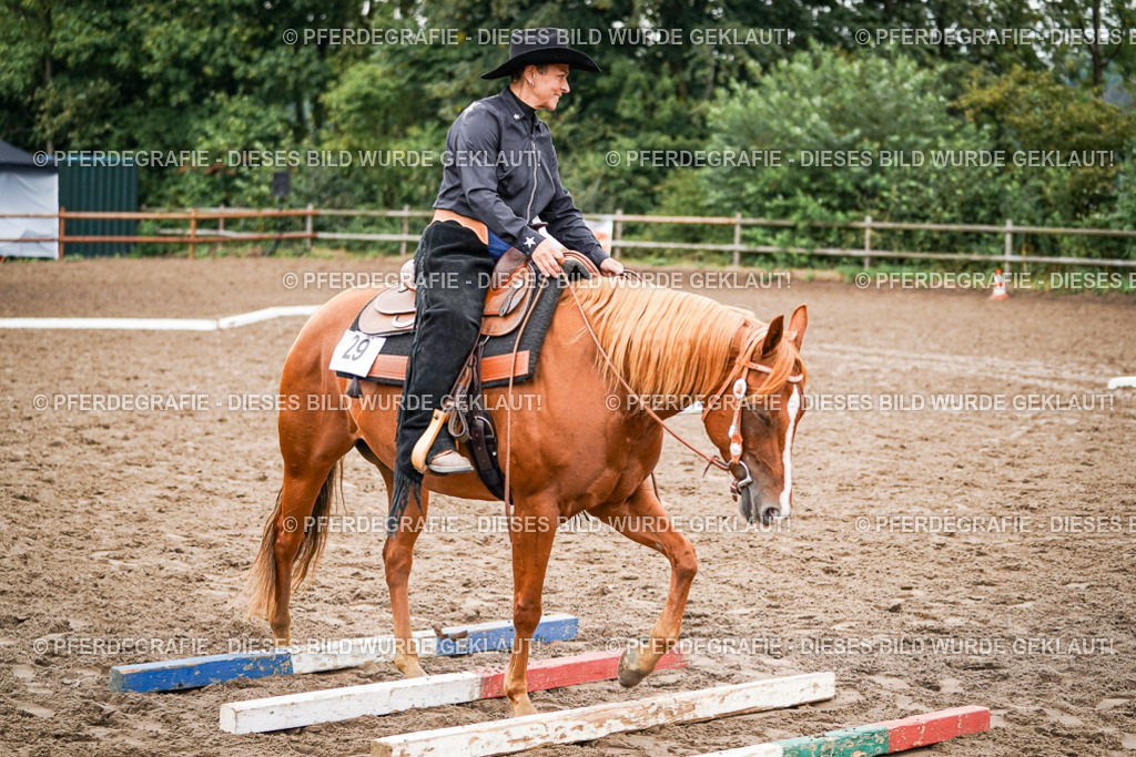 DSC03262 | Pferdegrafie