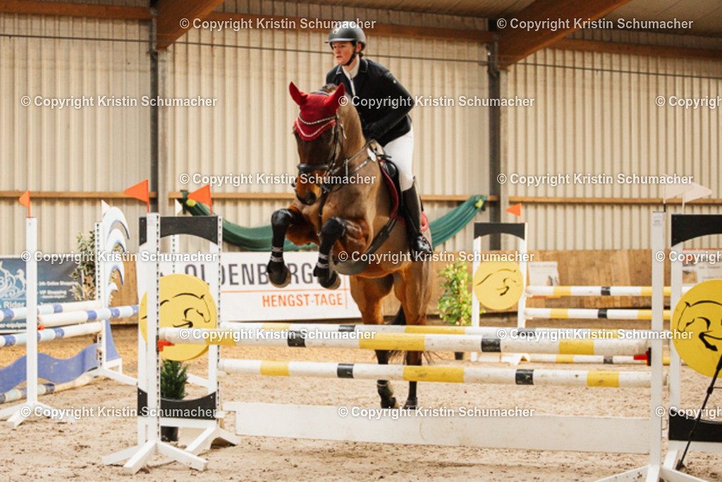 Springpferde A_-19 | Kristin Schumacher Photography