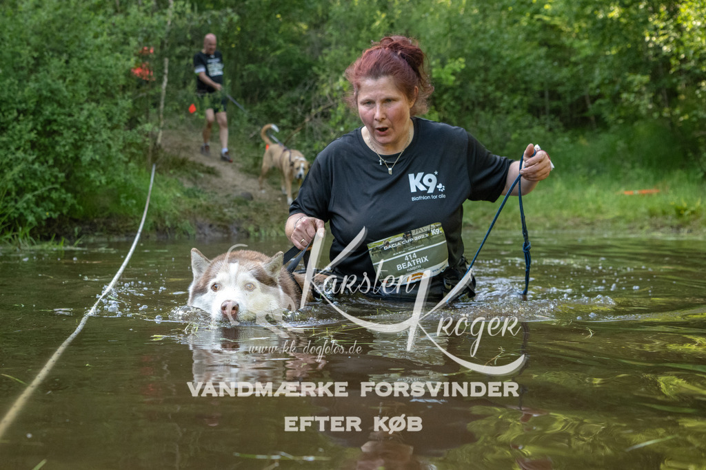 1749DKK992897 | kk-dogfotos