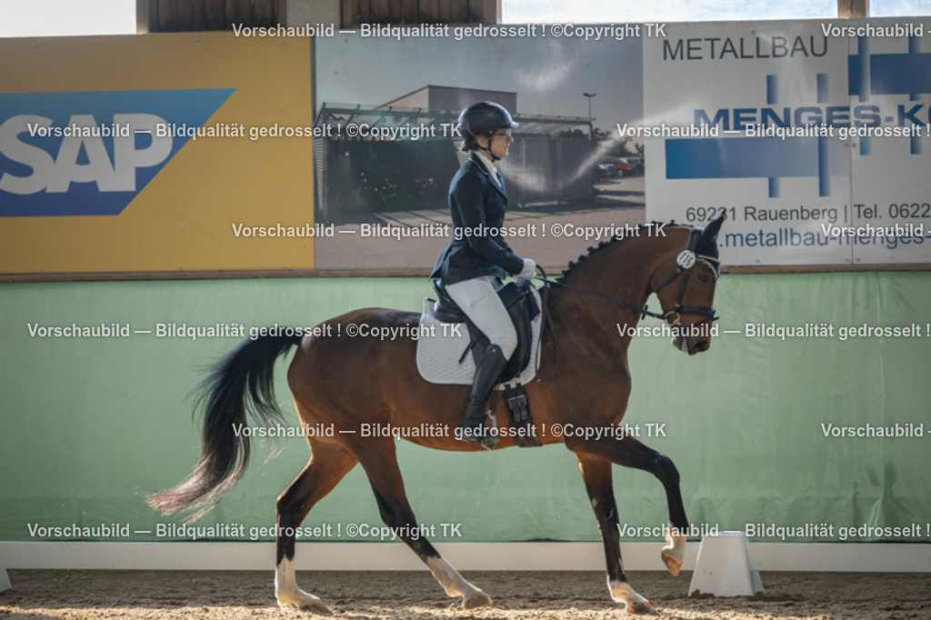 _D5A8438 | Emotionale Pferde- & People-Fotografie rund um Heidelberg, Leimen & Umgebung. Natürliche Fotos von Pferd, Mensch & Familie. Jetzt Termin sichern!