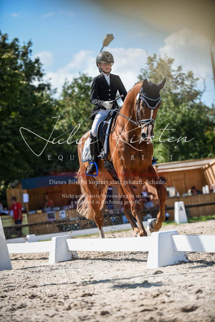DSC_9529 | Pferde- und Turnierfotografie in Westsachsen. Pferdeportraits, Auftragszeichnungen und intuitive Kunst.