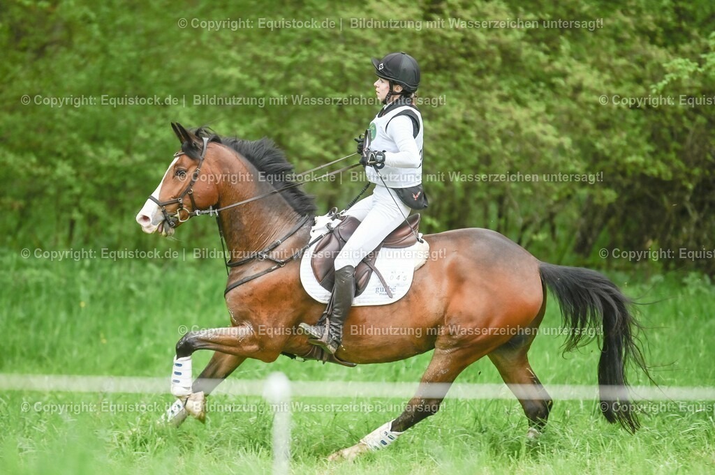 20230513_CCI2_Section2_Gelände_0461 | equistock