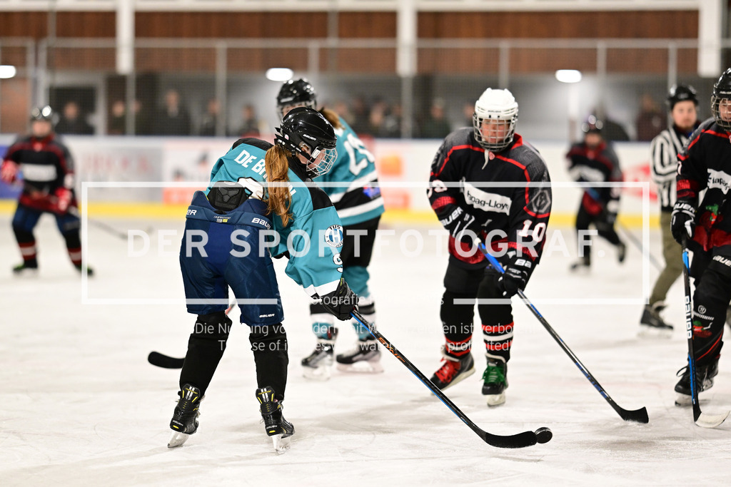 Eishockey I Frauen I Saison 2023-2024 I Testspiel I TuS Harsefeld Tigers - Crocodiles Hamburg I 05072 | Der Sportfotograf. - Realisiert mit Pictrs.com