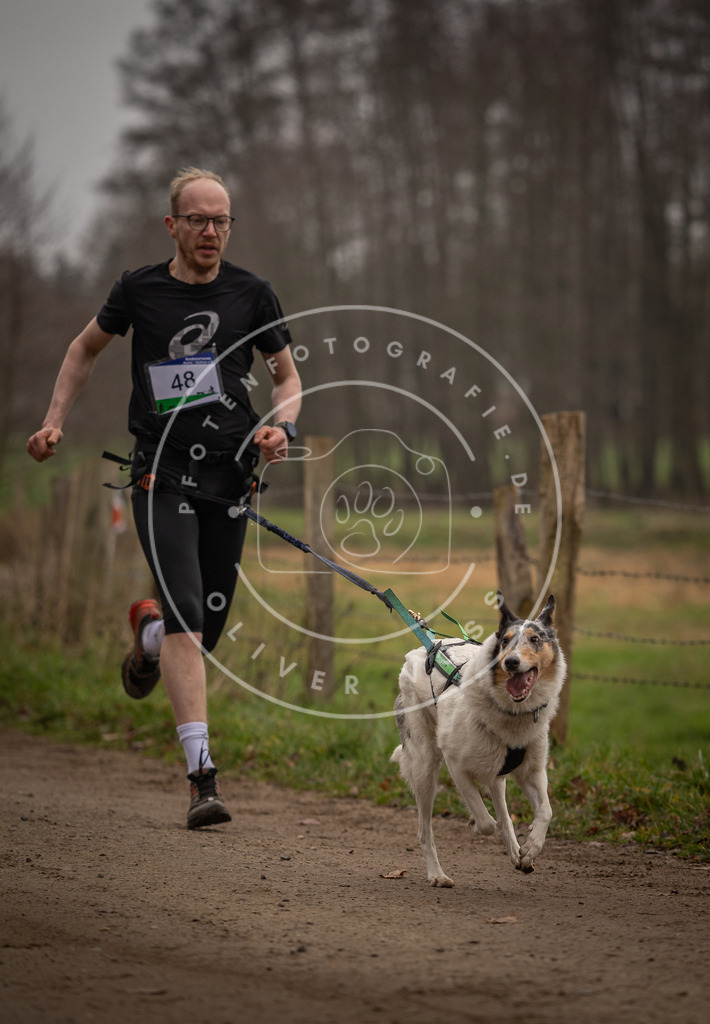 Pfotenfotografie_DV3A2769 | Hundefotografie, Tierfotograf, Pfotenfotografie, Fotoshooting Hund, Hunde Portrait, Hundesport, Hundeportraits, Heideshooting, Hunde, Sportfotograf, Hundefotograf, Turnierhundsport, THS,  - Realisiert mit Pictrs.com