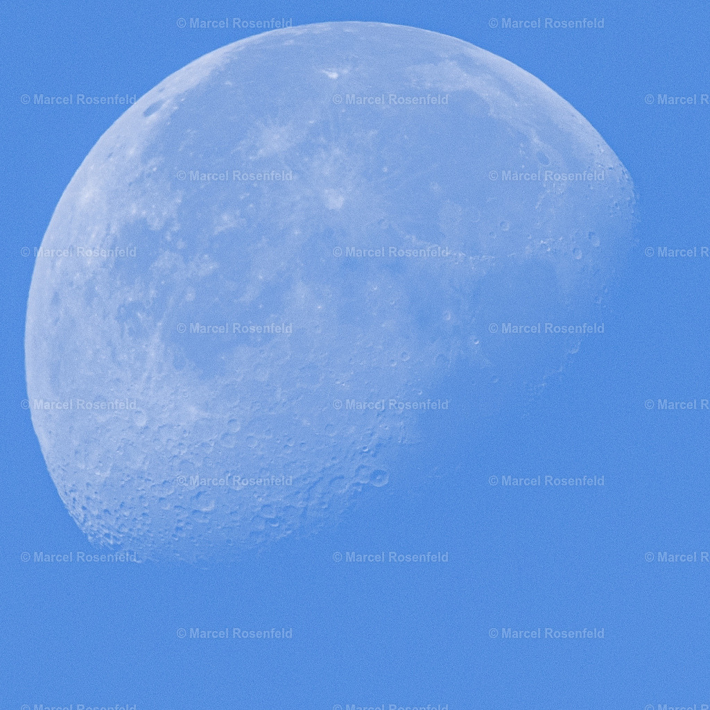 _DSC3293 | foto-rosenfeld