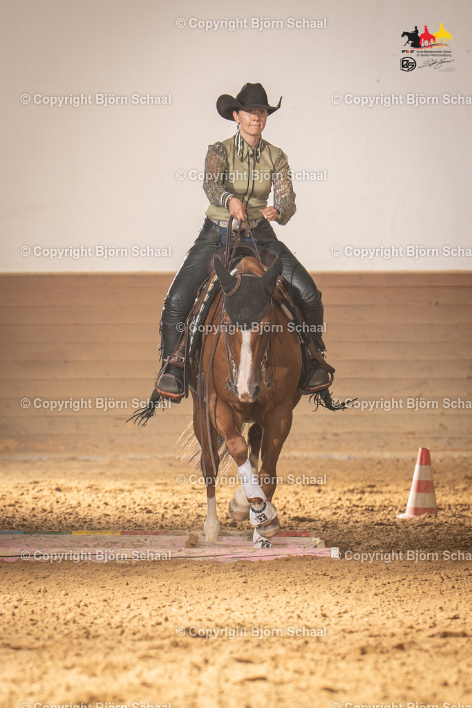 LMS06568 | BS-foto