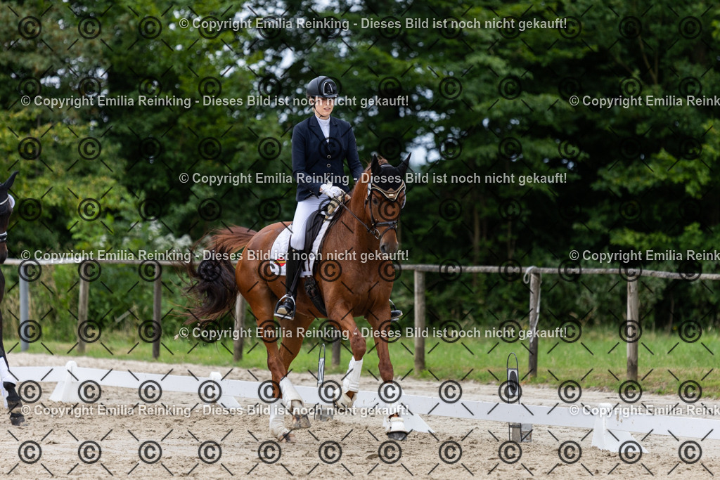 CL5A8503 | Emilia Reinking Fotografie - Realisiert mit Pictrs.com