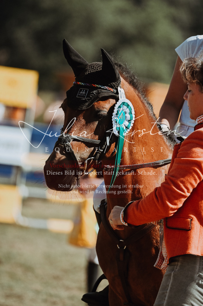 DSC_0120 | Pferde- und Turnierfotografie in Westsachsen. Pferdeportraits, Auftragszeichnungen und intuitive Kunst.