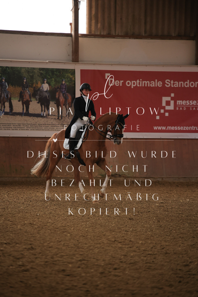 IMGT4662 | pl-fotografie