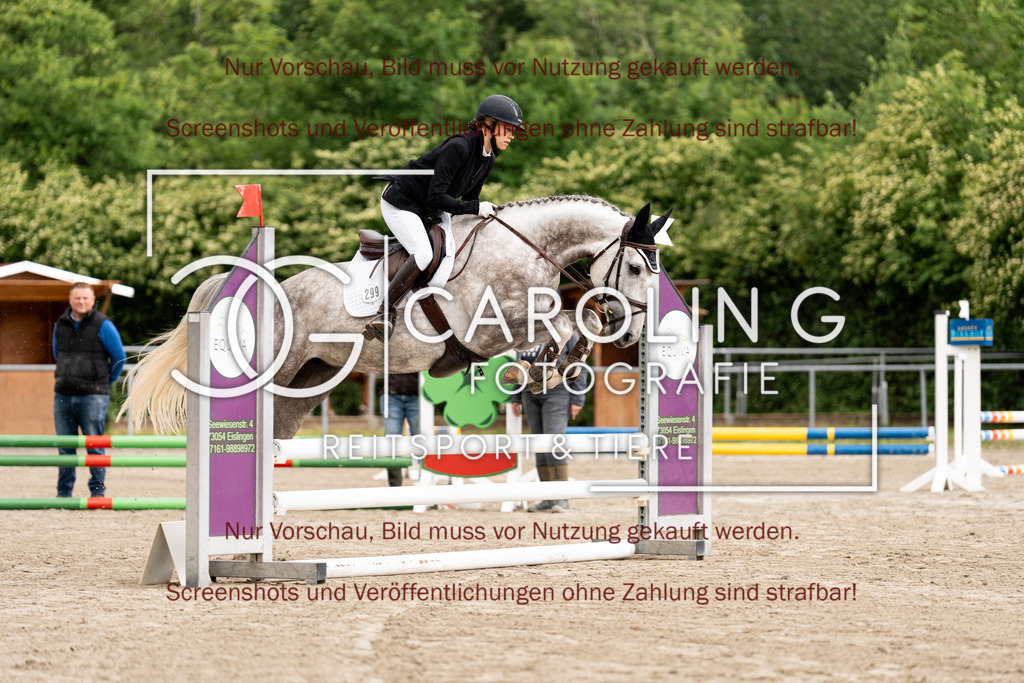 DSC08434 | Turnierfotografin Carolin Gieschke, Turnierfotografie Carolin G Fotografie, Turnierfotos Kirchheim/Teck, Esslingen, Stuttgart, Bodenseekreis