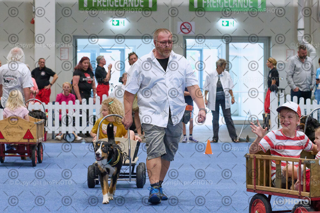 202406_ÖKV-IHA-Tulln24_DSC_4677 | proPHOTO - Realisiert mit Pictrs.com