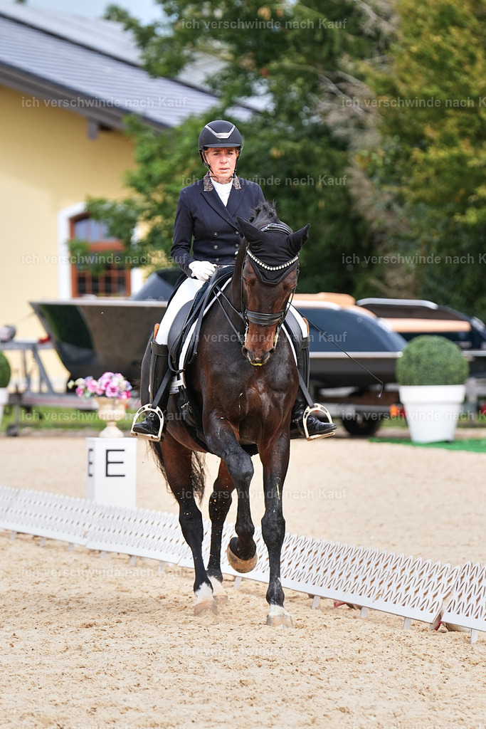 11-007-Dressur S___-Marixx-1697 | working equitationturnier fotograf videograf stoibphotography marixx film working equitation deutschland reitsport turnierfotografie eventfotografie equestrian events