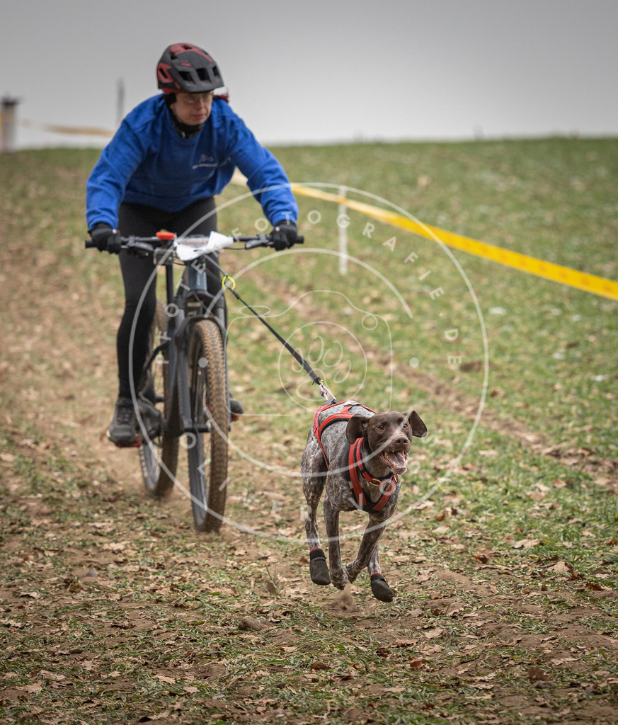 Pfotenfotografie_DV3A2877 | Hundefotografie, Tierfotograf, Pfotenfotografie, Fotoshooting Hund, Hunde Portrait, Hundesport, Hundeportraits, Heideshooting, Hunde, Sportfotograf, Hundefotograf, Turnierhundsport, THS,  - Realisiert mit Pictrs.com