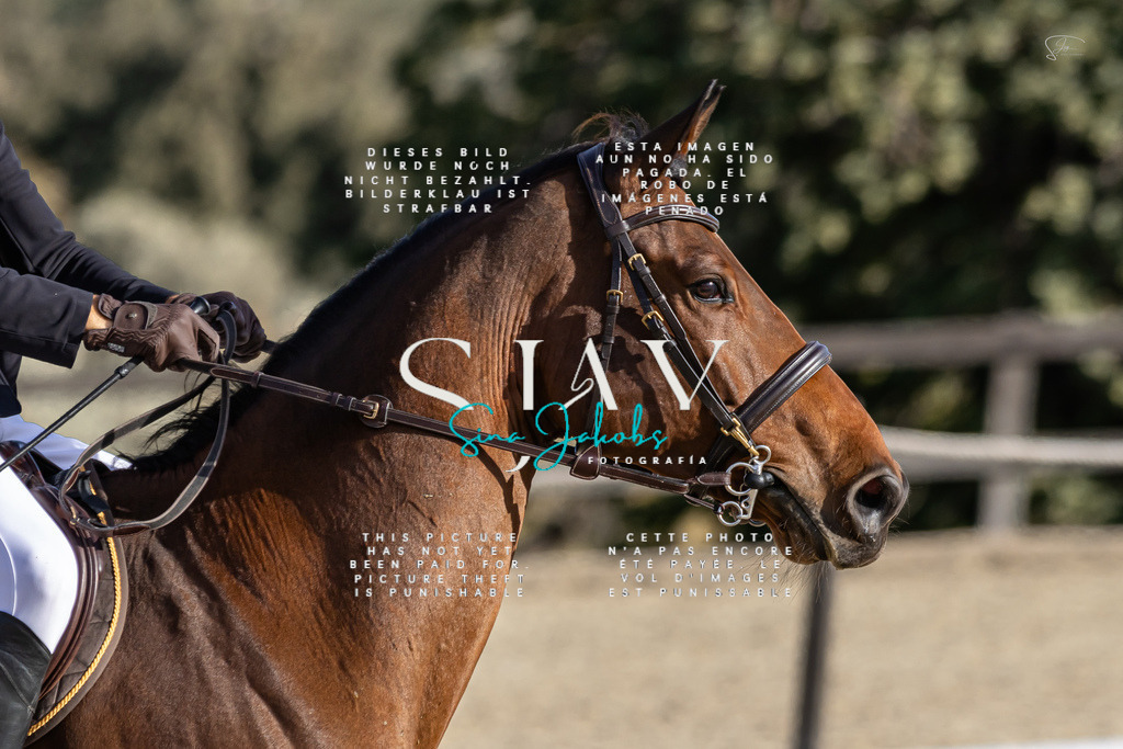 IMG_0363 | s-jay-photography - Realisiert mit Pictrs.com