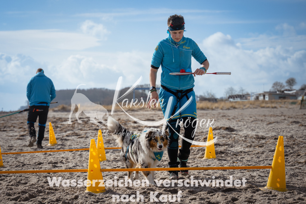 1243_ZZ98362 | kk-dogfotos