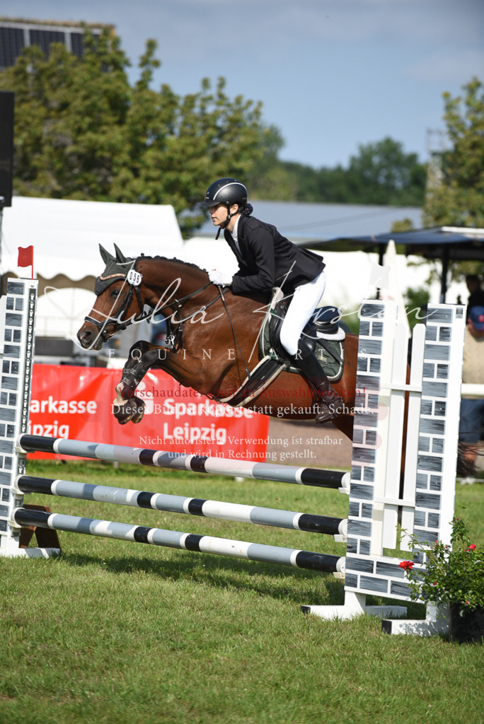 DSC_8930 | Pferde- und Turnierfotografie in Westsachsen. Pferdeportraits, Auftragszeichnungen und intuitive Kunst.